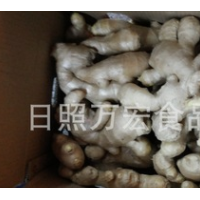 生產工廠供應出口生姜，風干姜，保鮮姜。