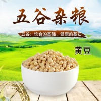 農(nóng)家自產(chǎn)大豆黃豆現(xiàn)磨豆?jié){五谷雜糧粗糧豆腐原料豆類(lèi)散裝