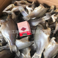 鱸魚干 深海鱸魚干 地?cái)傉箷９? onmouseover=