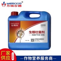 廠家批發(fā) 植物生長(zhǎng)調(diào)節(jié)劑 保花保膨果安普樂(lè)生根壯苗劑 現(xiàn)貨批發(fā)