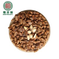 開口松子新貨上架非油炸東北長(zhǎng)白山大顆粒松子仁支持加工