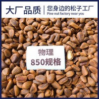 東北開口松子批發(fā)散裝野生手剝撥紅松子特大顆粒整箱堅(jiān)果特級(jí)松籽