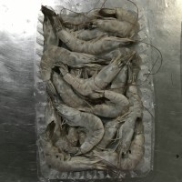 加工南美白對(duì)蝦，冷凍南美白對(duì)蝦，唐山南美白對(duì)蝦，天津南美蝦