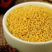 黃小米 農(nóng)家自產(chǎn)源頭工廠可定制 OEM貼牌 米油豐厚 現(xiàn)貨供應500g