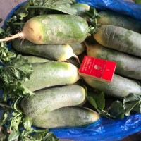 優惠銷售水果青蘿卜，青皮青瓤及紫紅皮紫紅瓤蘿卜，甜脆可口