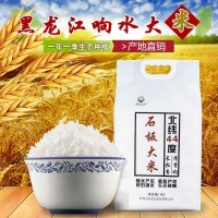 響水大米黑龍江長粒香米新米5公斤10真空包裝長米粒石板大米批發