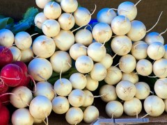 種植白蘿卜如何進行土肥管理，管理要點都有哪些？