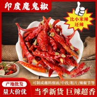 印度椒印度魔鬼椒辣椒王椒1斤/袋可免費磨粉切斷量大價優(yōu)批發(fā)包郵